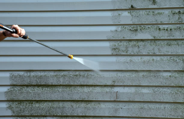 Best Solar Panel Cleaning  in Sparta, TN
